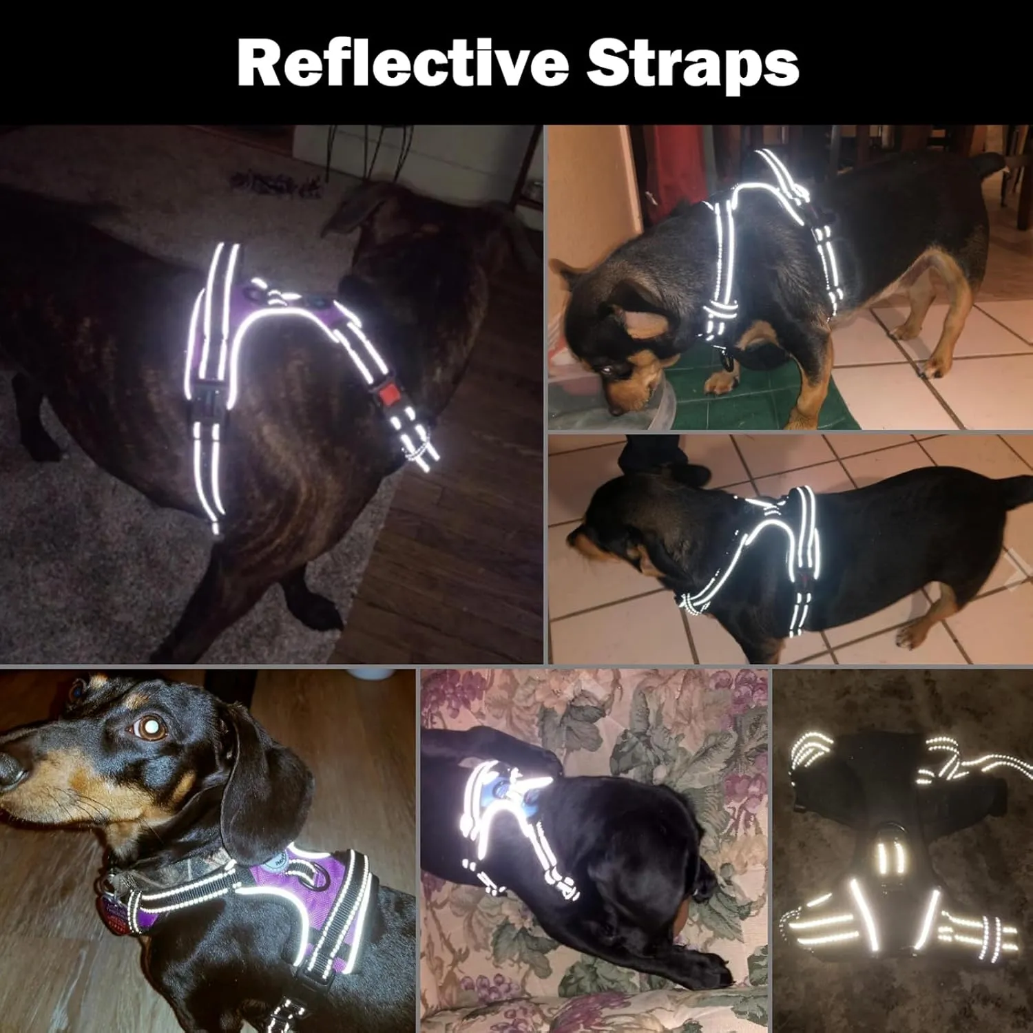 PHOEPET Reflective Dog Harness Large Breed Adjustable No Pull Vest with Handle 2 Metal Rings 3 Buckles [Easy to Put on & Take Off](XL, Purple)