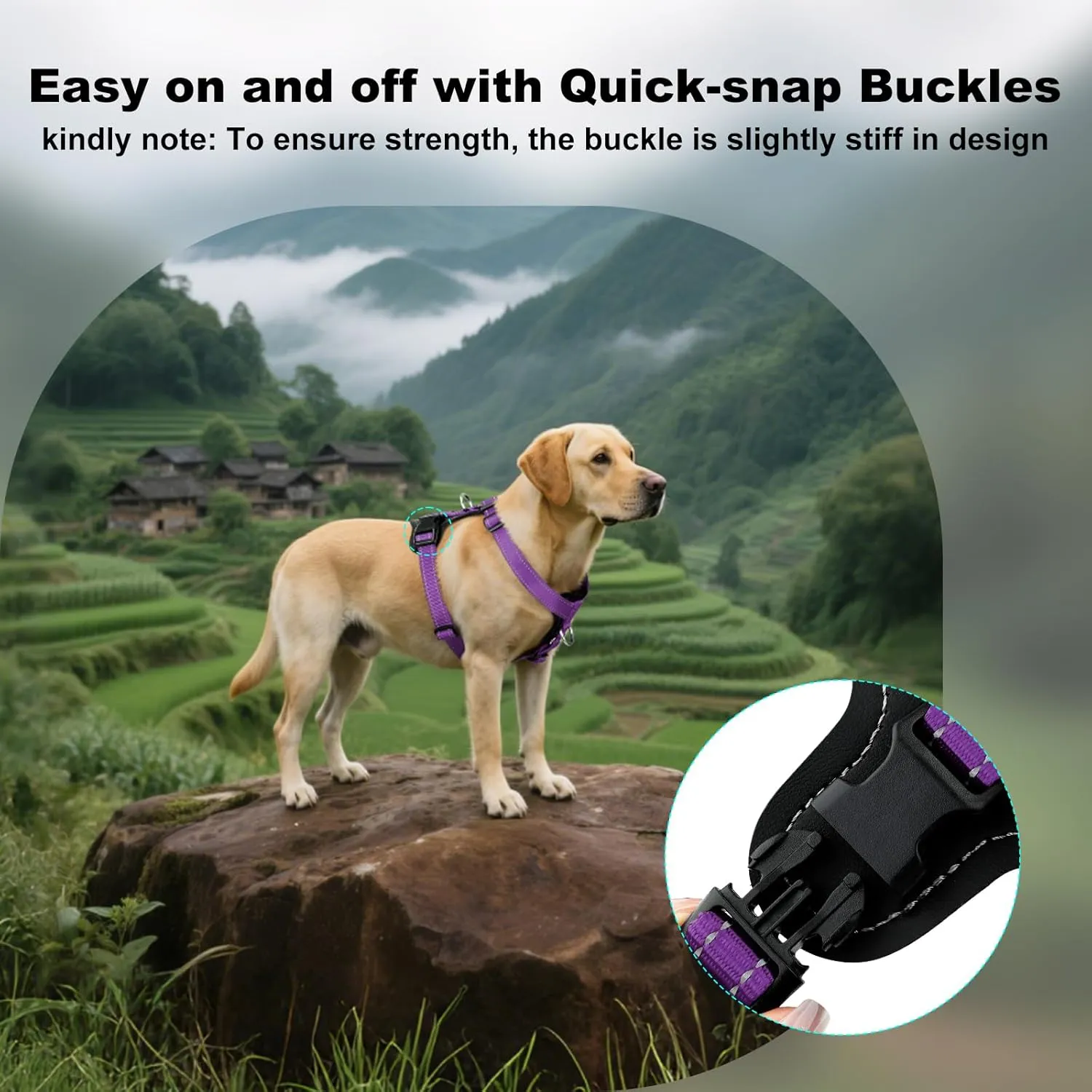 Plutus Pet Adjustable No Pull Dog Harness with Leather Accents, Heavy Duty Reflective Nylon Vest for Training, Hiking, Easy Walk Harness for Small, Medium, Large Dogs (Purple, L)