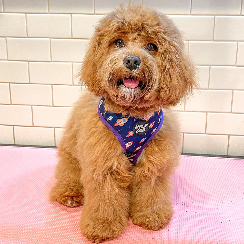 Pocket Rocket: Reversible Dog Harness