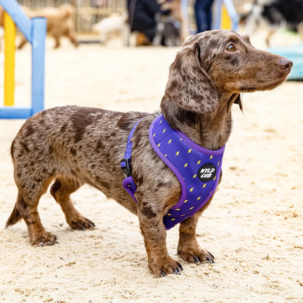 Pocket Rocket: Reversible Dog Harness