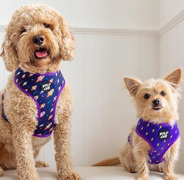 Pocket Rocket: Reversible Dog Harness