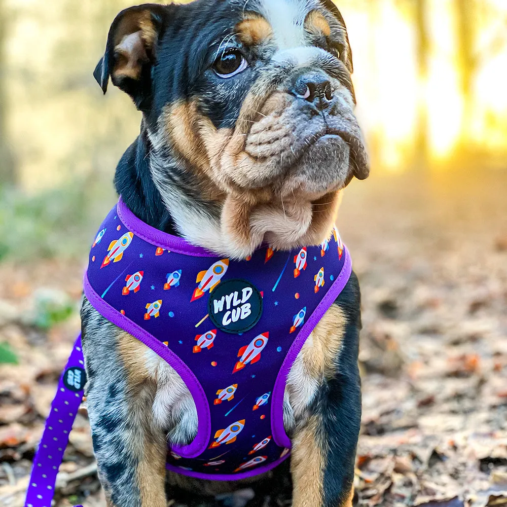 Pocket Rocket: Reversible Dog Harness