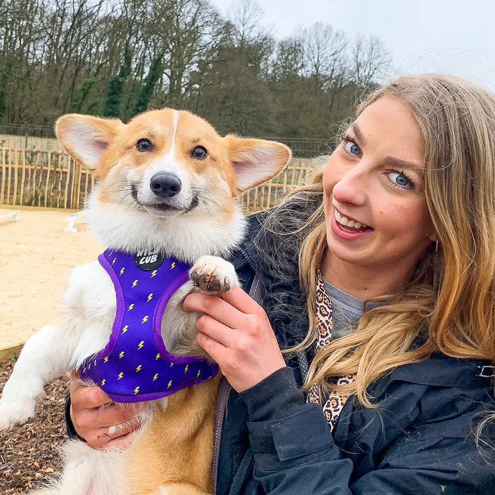 Pocket Rocket: Reversible Dog Harness