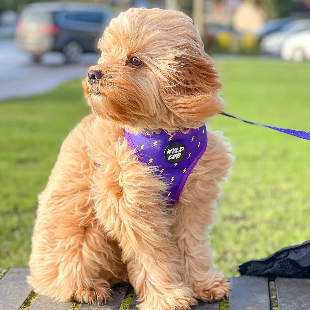 Pocket Rocket: Reversible Dog Harness