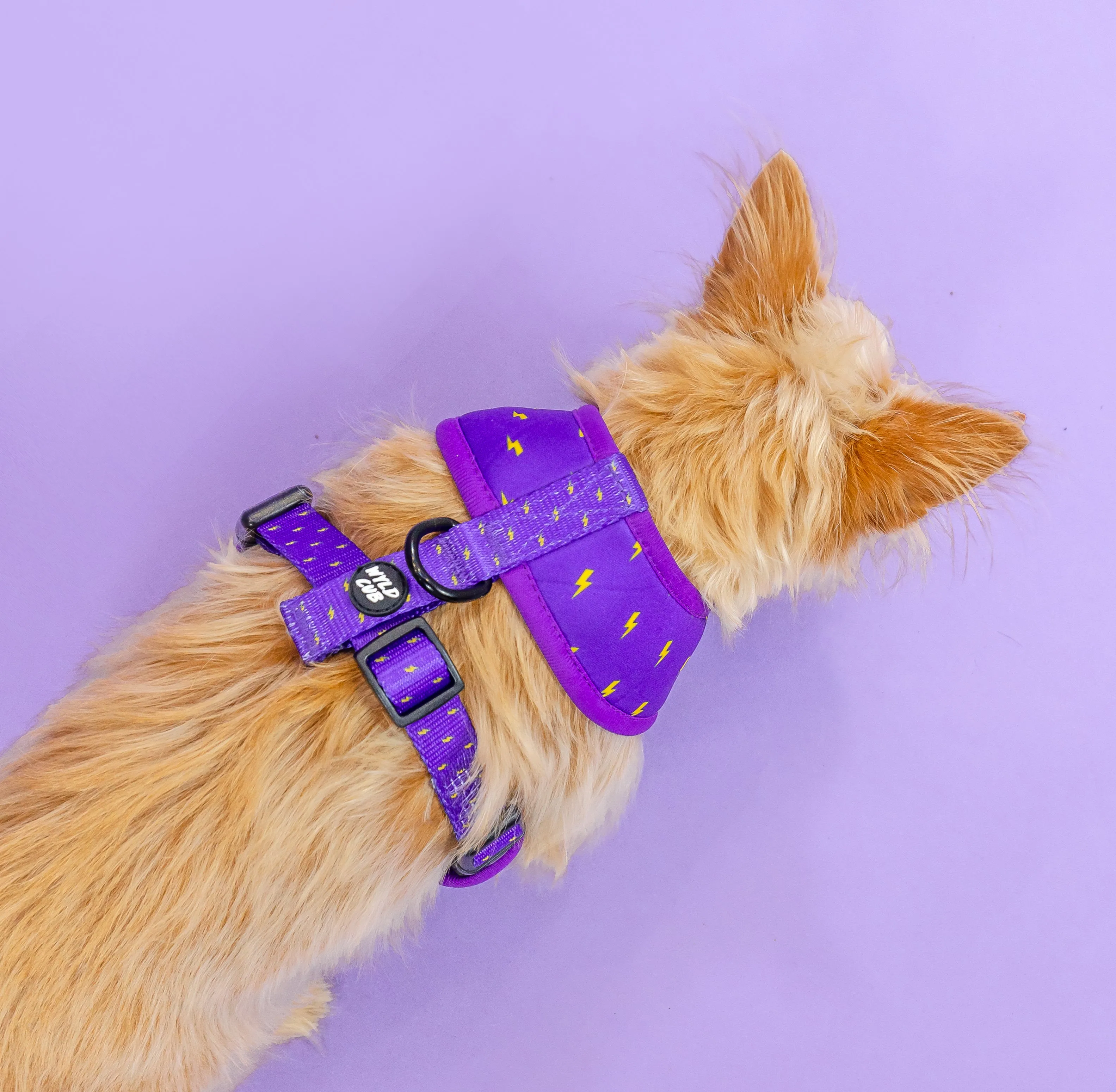 Pocket Rocket: Reversible Dog Harness