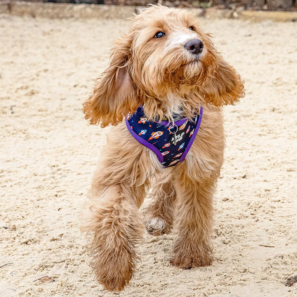 Pocket Rocket: Reversible Dog Harness