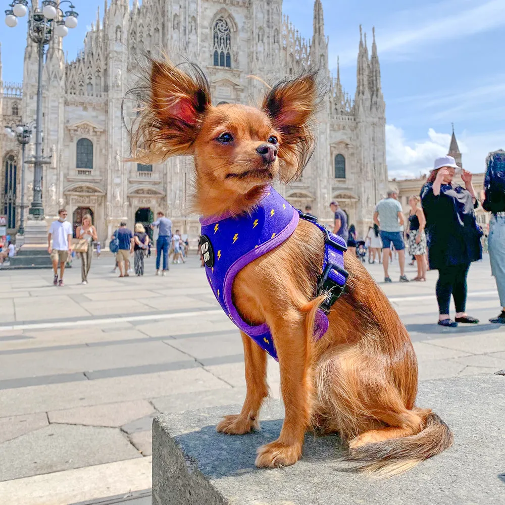 Pocket Rocket: Reversible Dog Harness