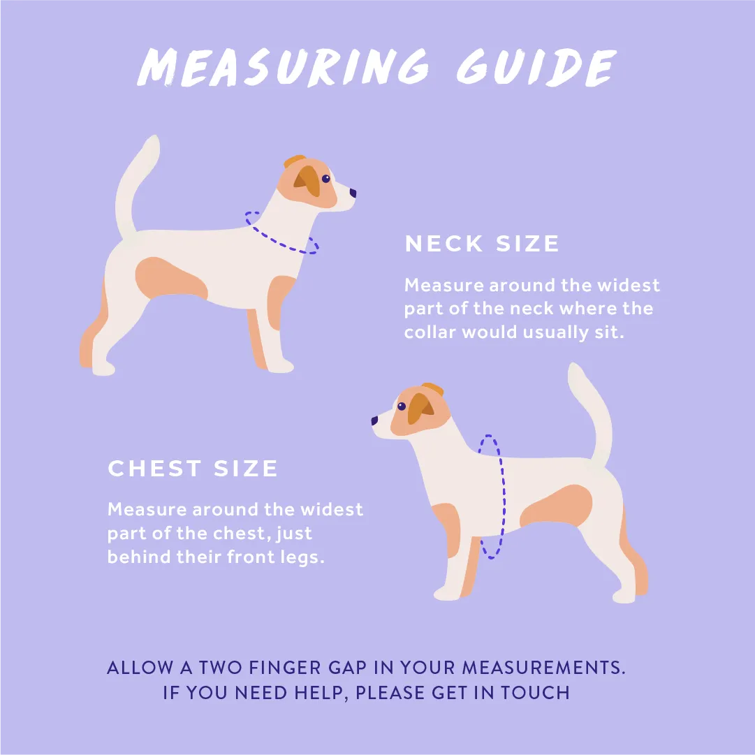 Pocket Rocket: Reversible Dog Harness