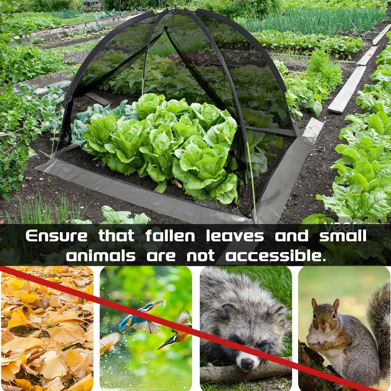 Ponds Cover Dome Net 11X14FT for Outdoor Fish Koi Leaves Garden Winter Protection Netting Pond Covering Tent with Zipper Stakes