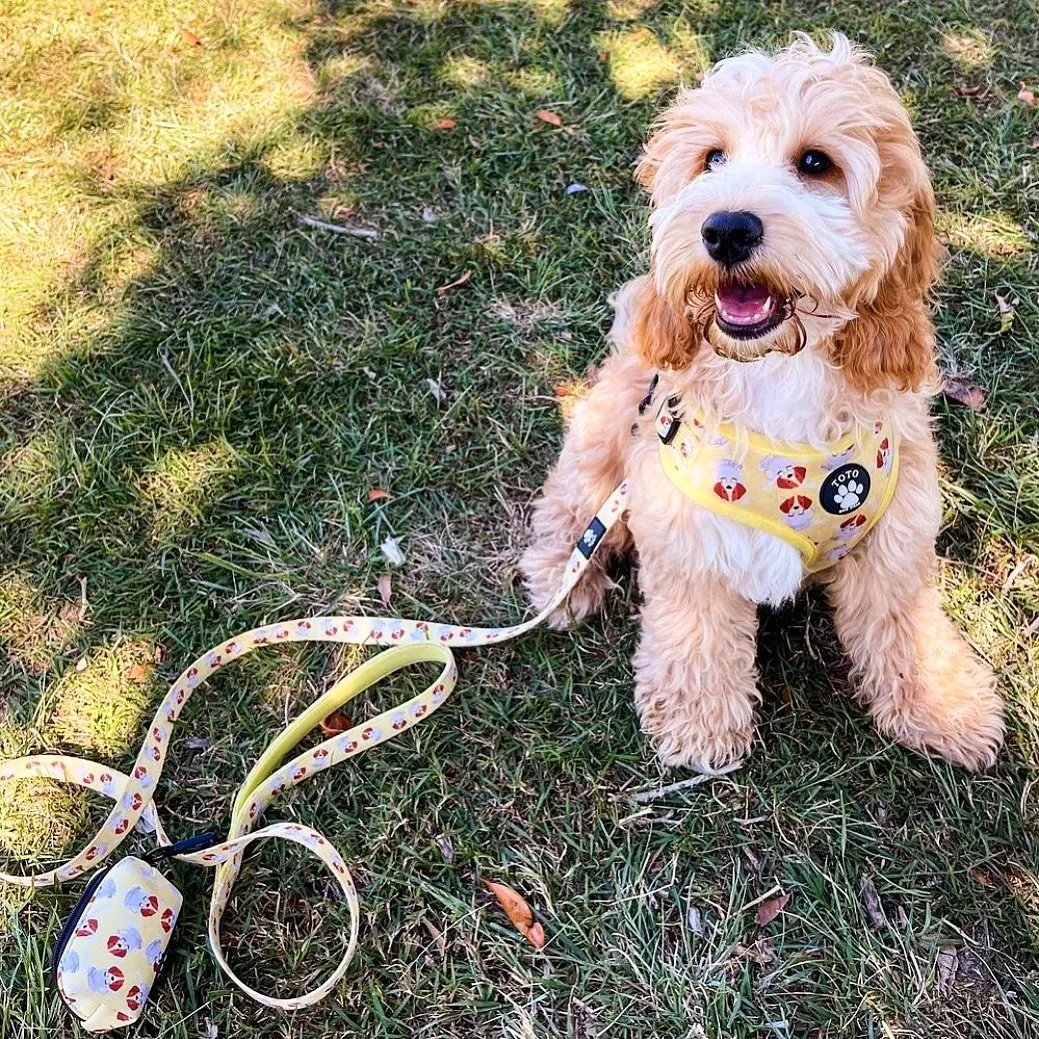Puppuccino Harness