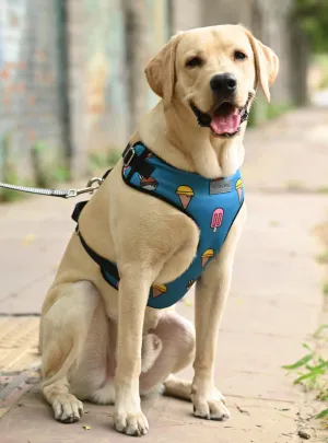 Pupsicle Vest Harness