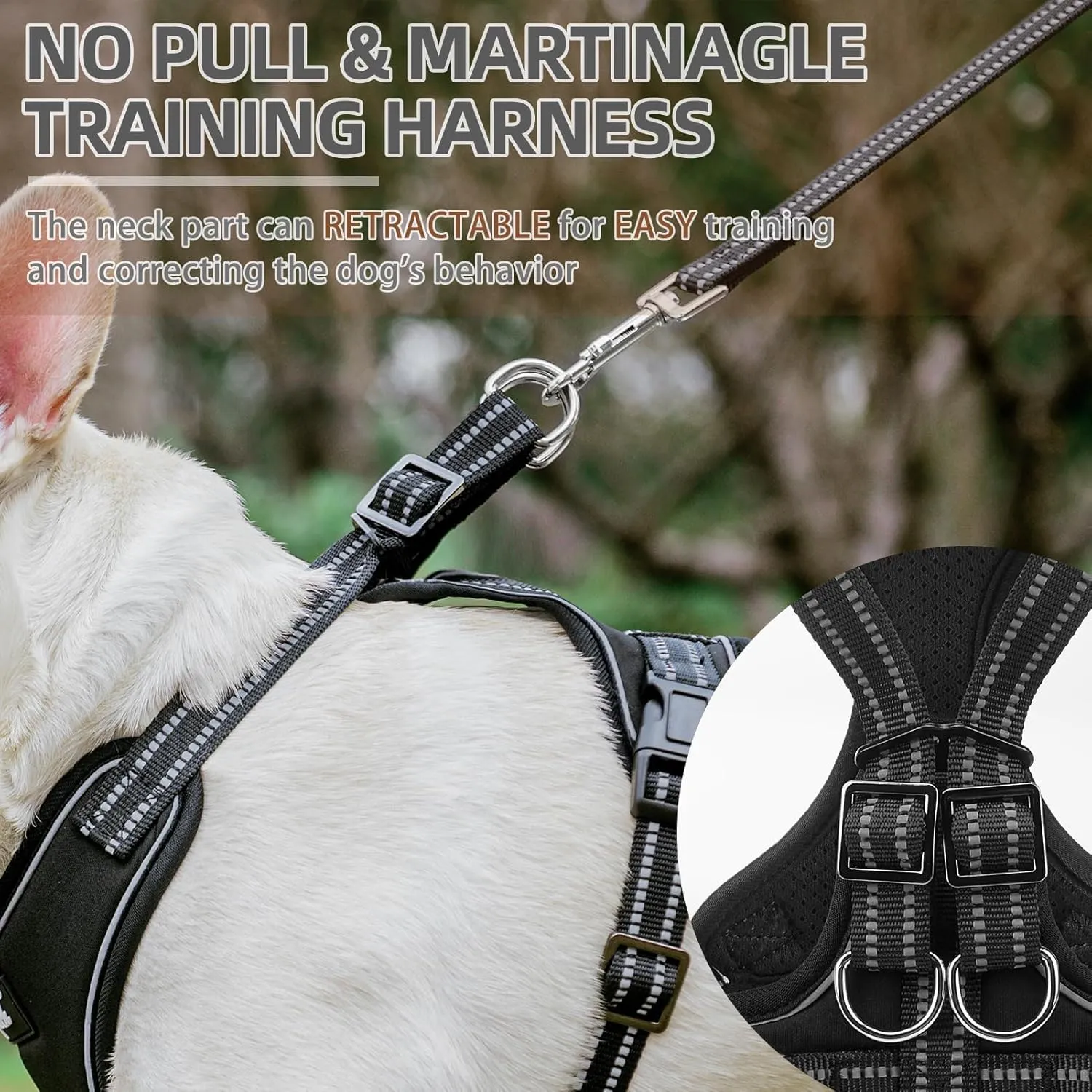 PUPTECK Dog Harness and Leash Set for Small Medium Sized Dogs, No Pull Dog Harness for Walking Training, Adjustable Reflective Puppy French Bulldog Frenchie Harness Soft Padded Vest, Black, L