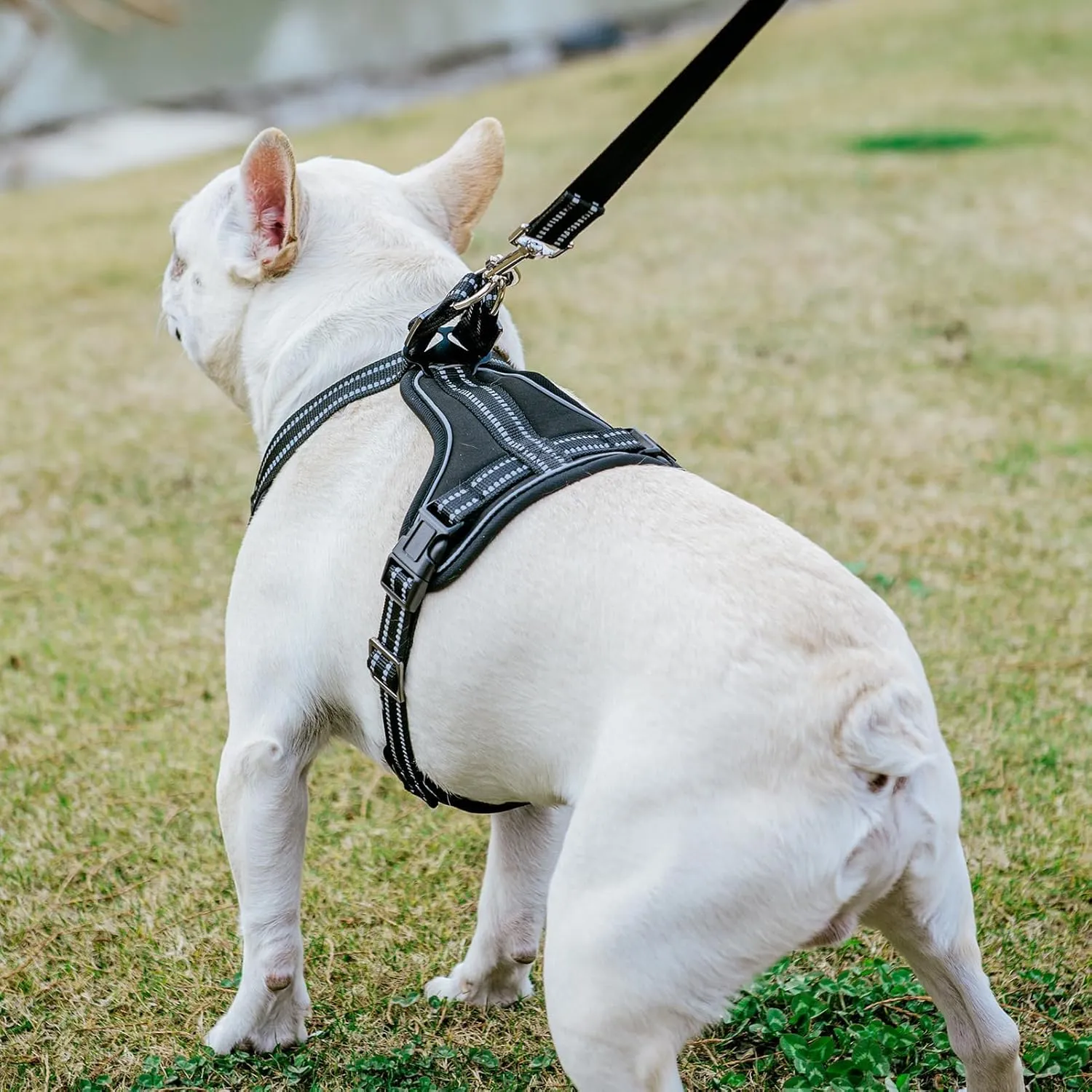 PUPTECK Dog Harness and Leash Set for Small Medium Sized Dogs, No Pull Dog Harness for Walking Training, Adjustable Reflective Puppy French Bulldog Frenchie Harness Soft Padded Vest, Black, L