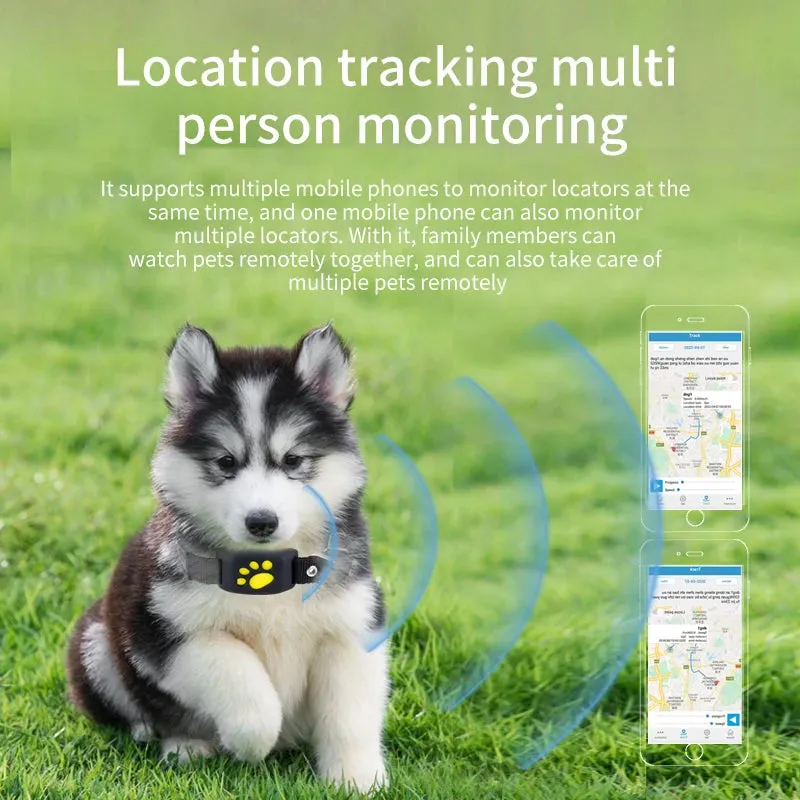 Real Time Tracking Dogs GPS Device