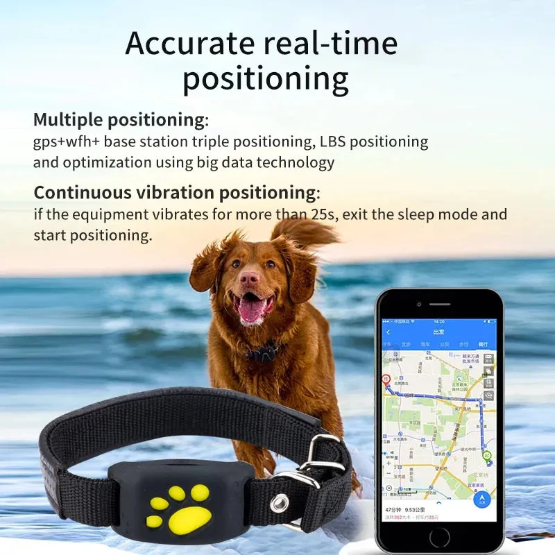 Real Time Tracking Dogs GPS Device