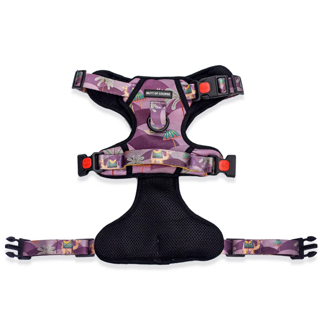 Royal Indian Camel Ruff N' Tuff Harness