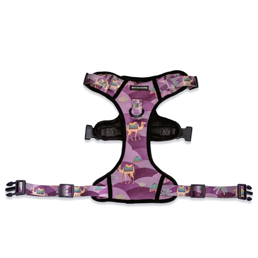 Royal Indian Camel Ruff N' Tuff Harness