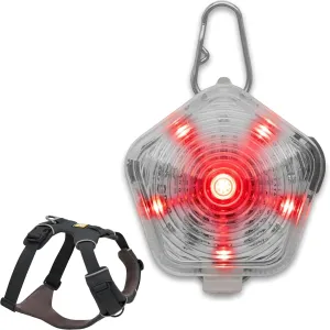 Ruffwear, Front Range Dog Harness & Beacon Light Bundle – No Pull Dog Harness with Rechargeable Light for Collar, Night Walking & Hiking, Adjustable Padded Vest, Basalt Gray, Large/X-Large