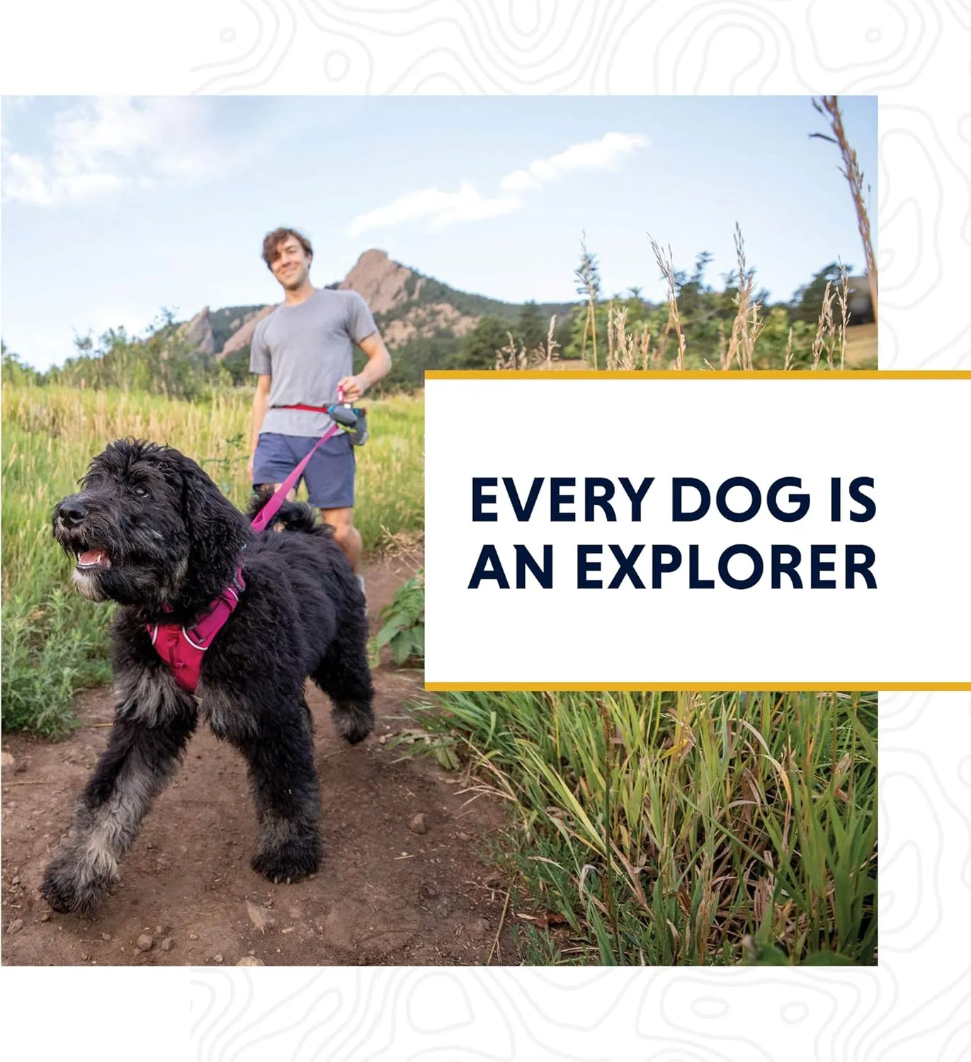 Ruffwear, Front Range Dog Leash, 5 ft Lead with Padded Handle for Everyday Walking, Mountains Logo