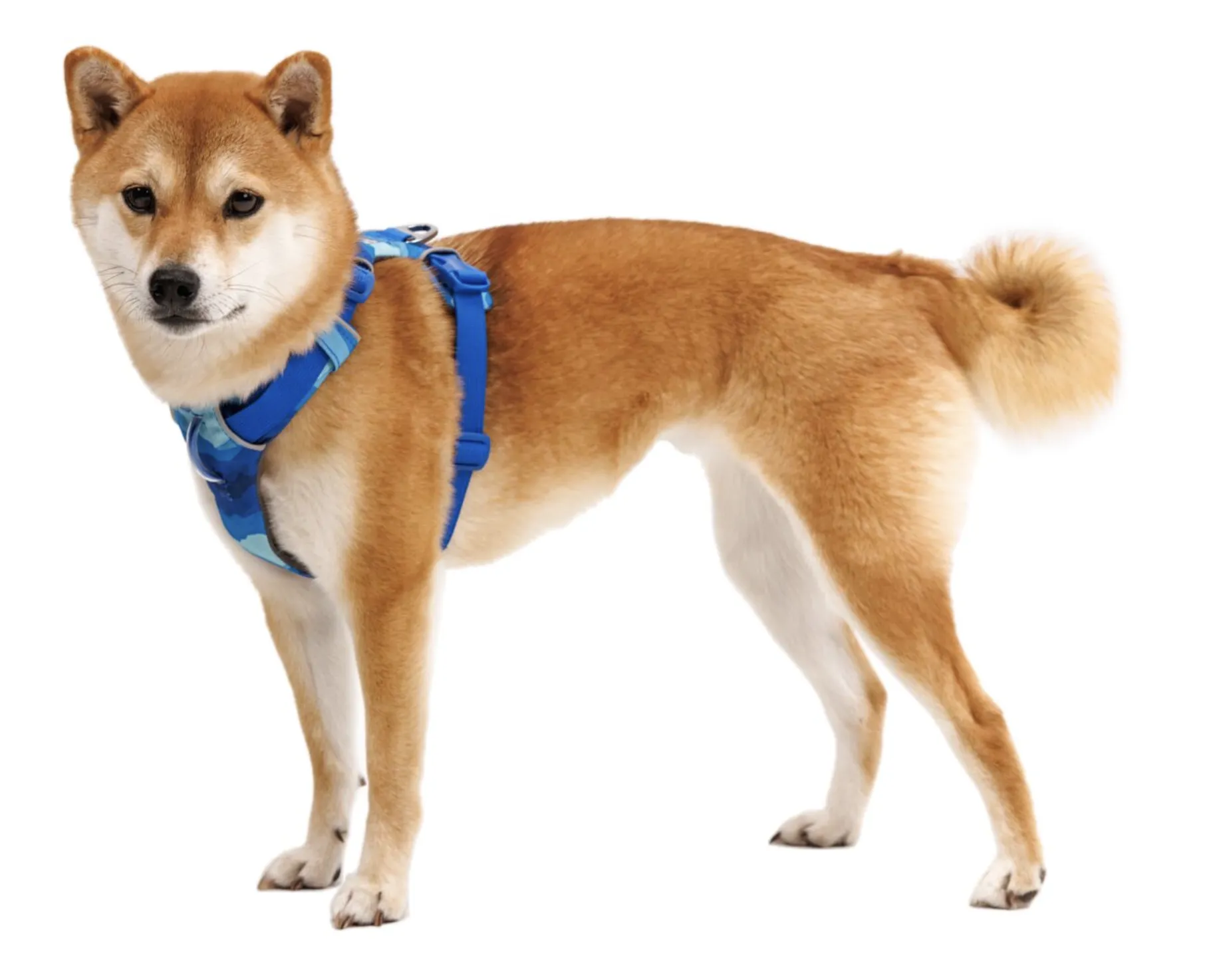 Ruffwear Front Range Harness Coastal Mountains
