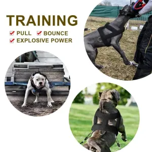 Rynx | Dog Harness Soft Padded Dog Harness Pitbull K9 Large Dog Training Harness Pet Agility Products