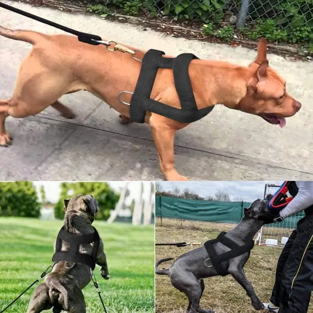 Rynx | Dog Harness Soft Padded Dog Harness Pitbull K9 Large Dog Training Harness Pet Agility Products