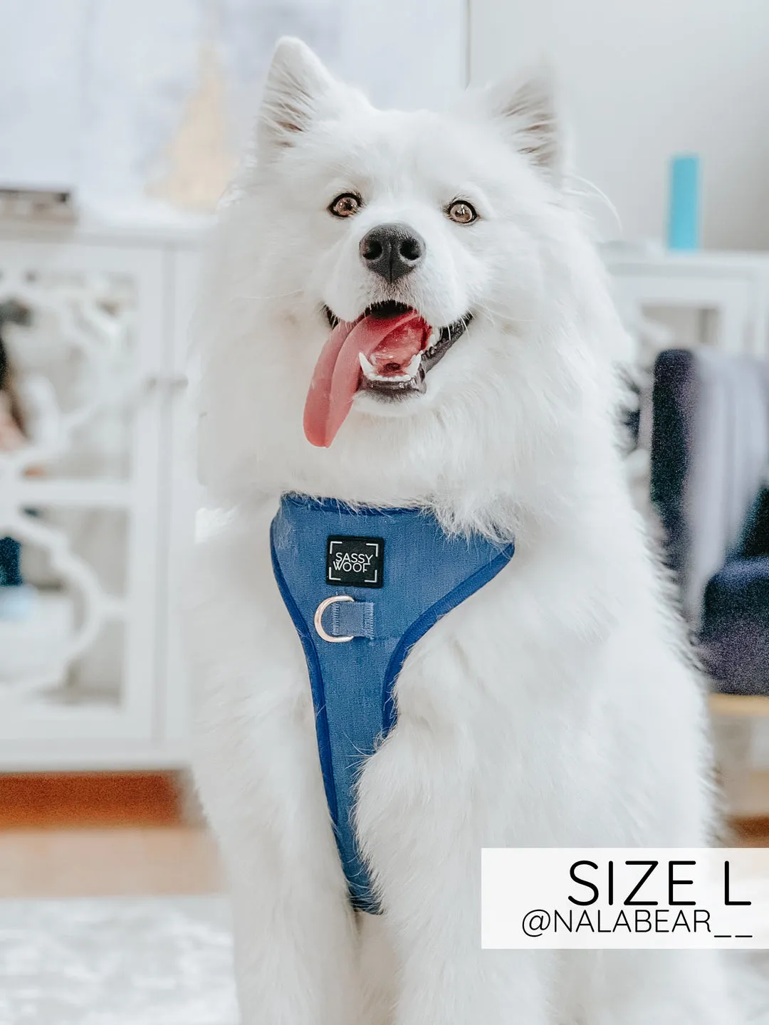 Sassy Woof Adjustable Harness - Denim
