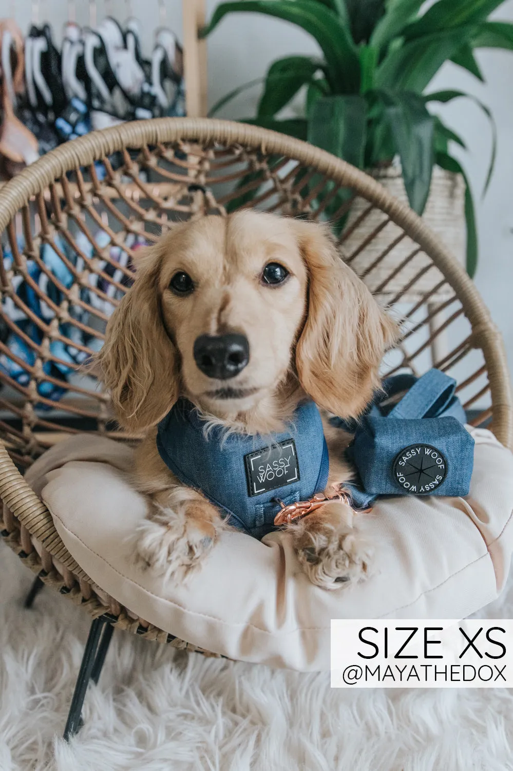Sassy Woof Adjustable Harness - Denim