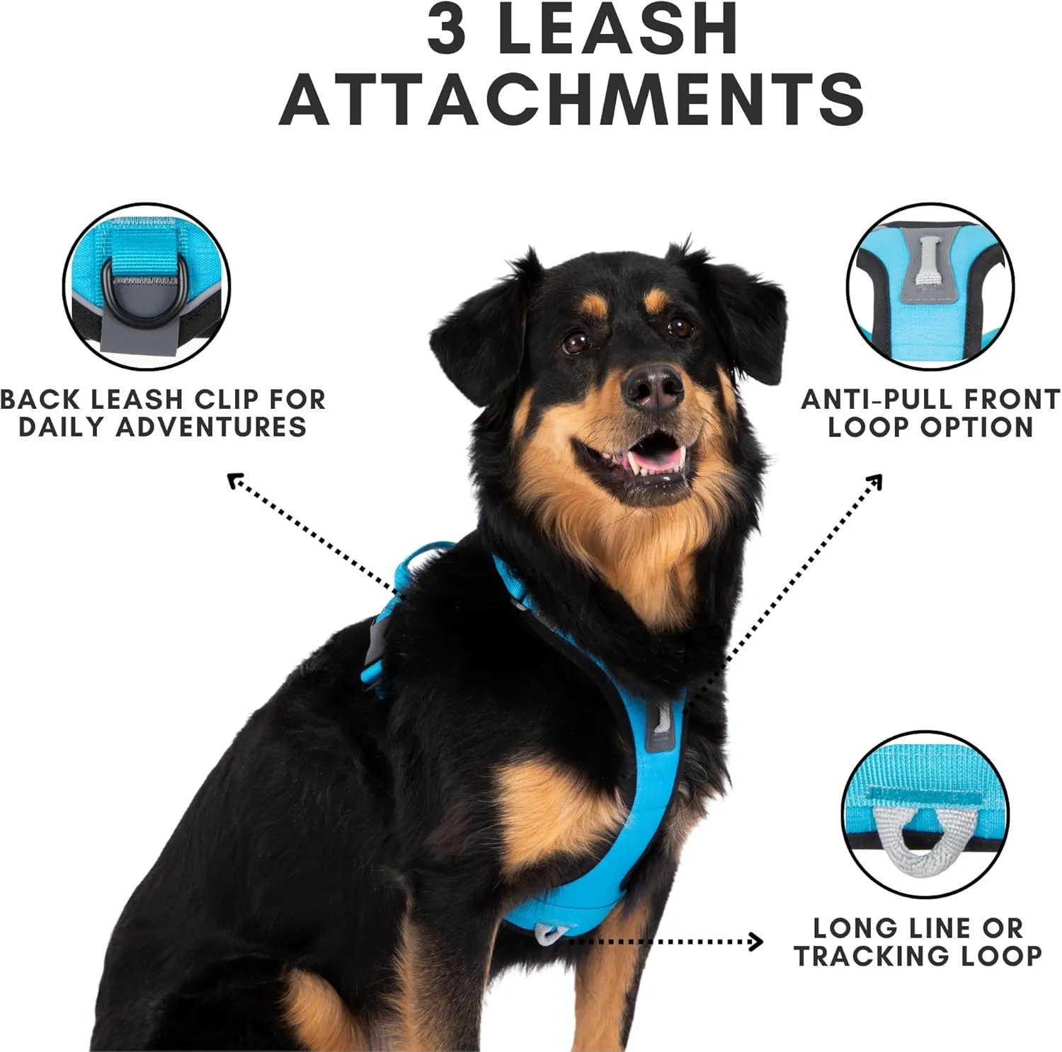 ShawnCo Basecamp Dog Harness, No-Pull Pet Vest with 3 Leash Clips, Padded, Reflective, Lightweight and Adjustable Harness with Handle for Small, Medium and Large Dogs (Oceanic Blue, S)