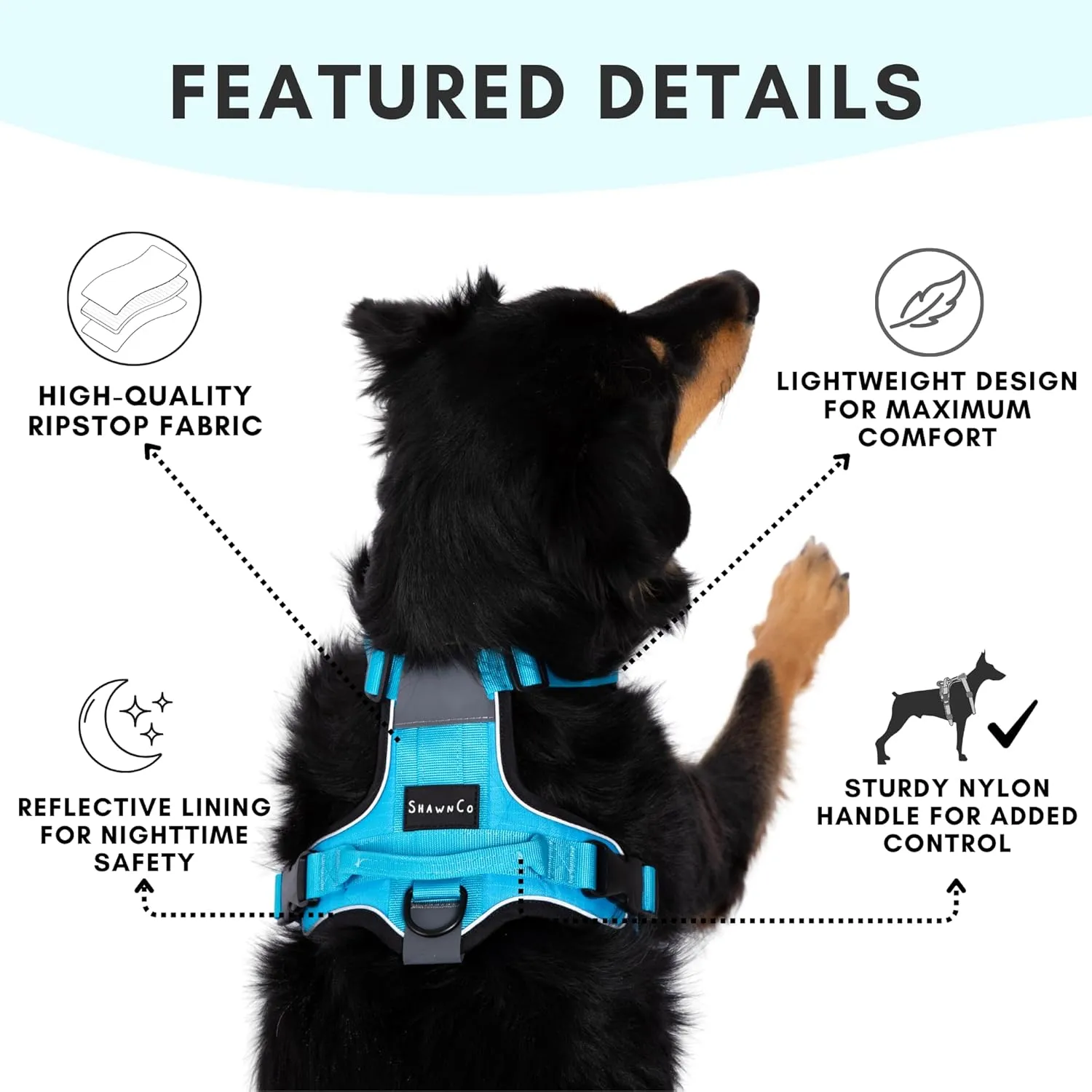 ShawnCo Basecamp Dog Harness, No-Pull Pet Vest with 3 Leash Clips, Padded, Reflective, Lightweight and Adjustable Harness with Handle for Small, Medium and Large Dogs (Oceanic Blue, S)