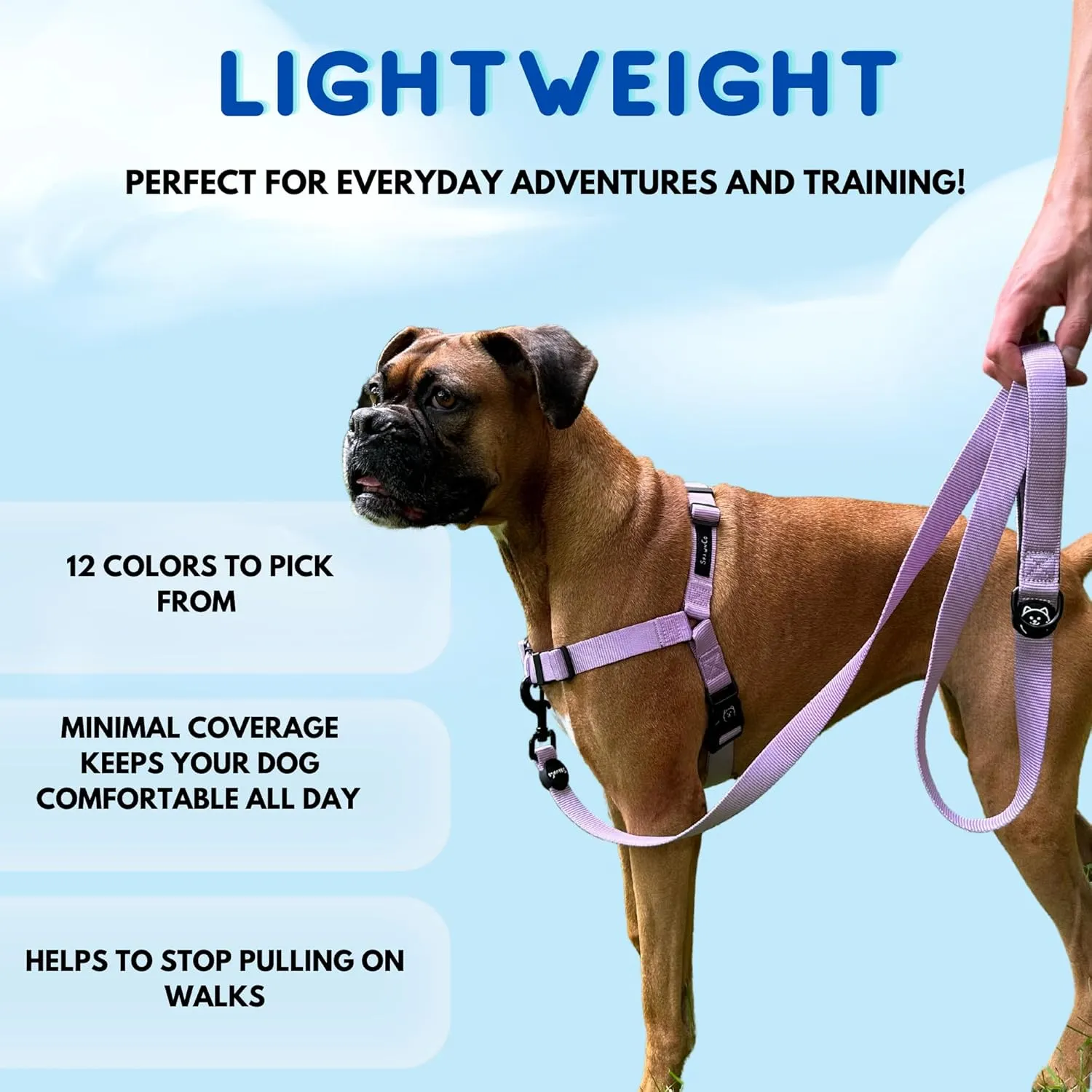 ShawnCo Dream Walk No-Pull Dog Harness- Adjustable, Comfortable, Easy to Use Pet Halter to Help Stop Pulling for Small, Medium and Large Dogs (Oceanic Blue, S)