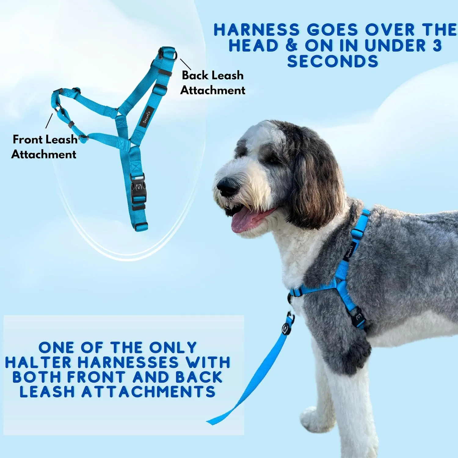 ShawnCo Dream Walk No-Pull Dog Harness- Adjustable, Comfortable, Easy to Use Pet Halter to Help Stop Pulling for Small, Medium and Large Dogs (Oceanic Blue, S)