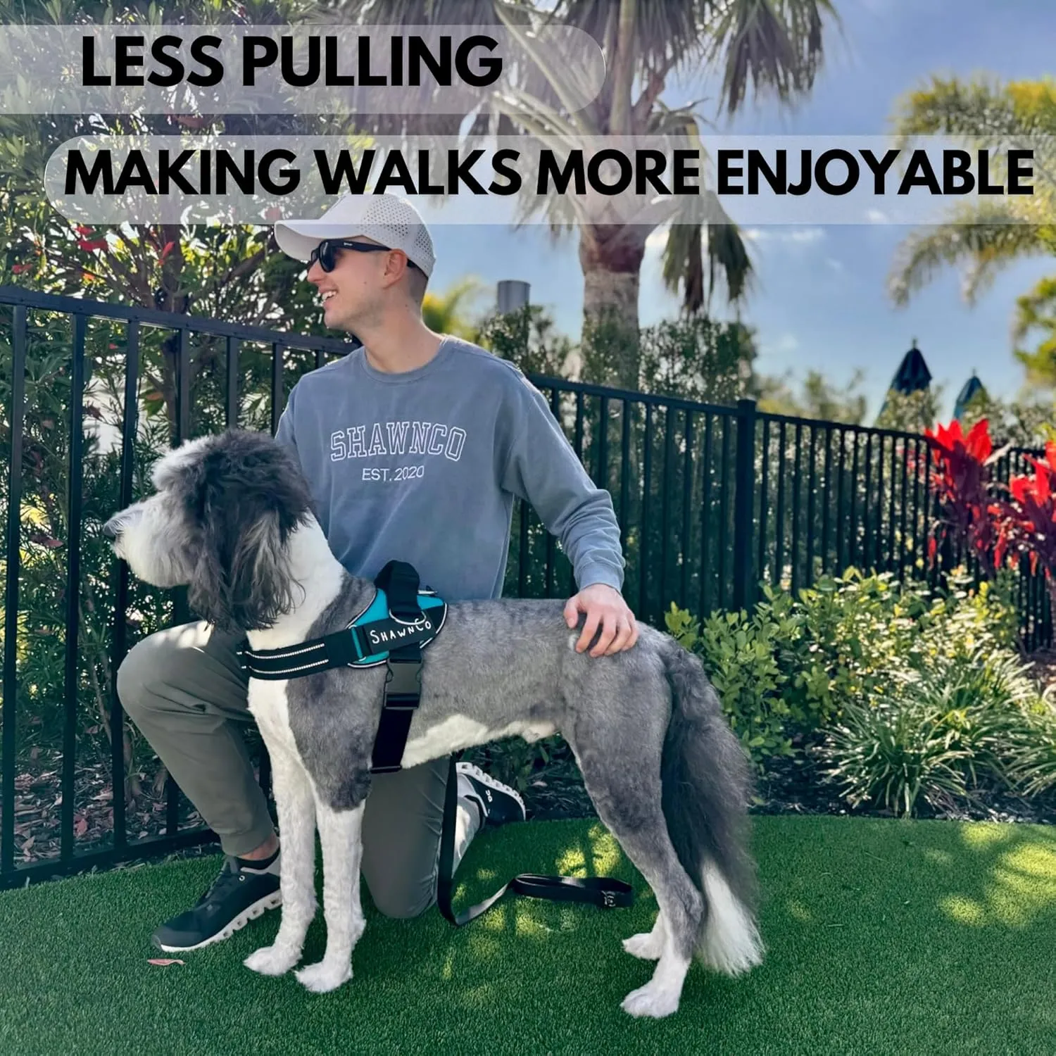 ShawnCo Essential Pro Dog Harness, No-Pull Pet Vest with 3 Leash Clips and Removable, Reflective Side Patches, Adjustable and Padded Harness for Small, Medium and Large Dogs (Oceanic Blue, S)