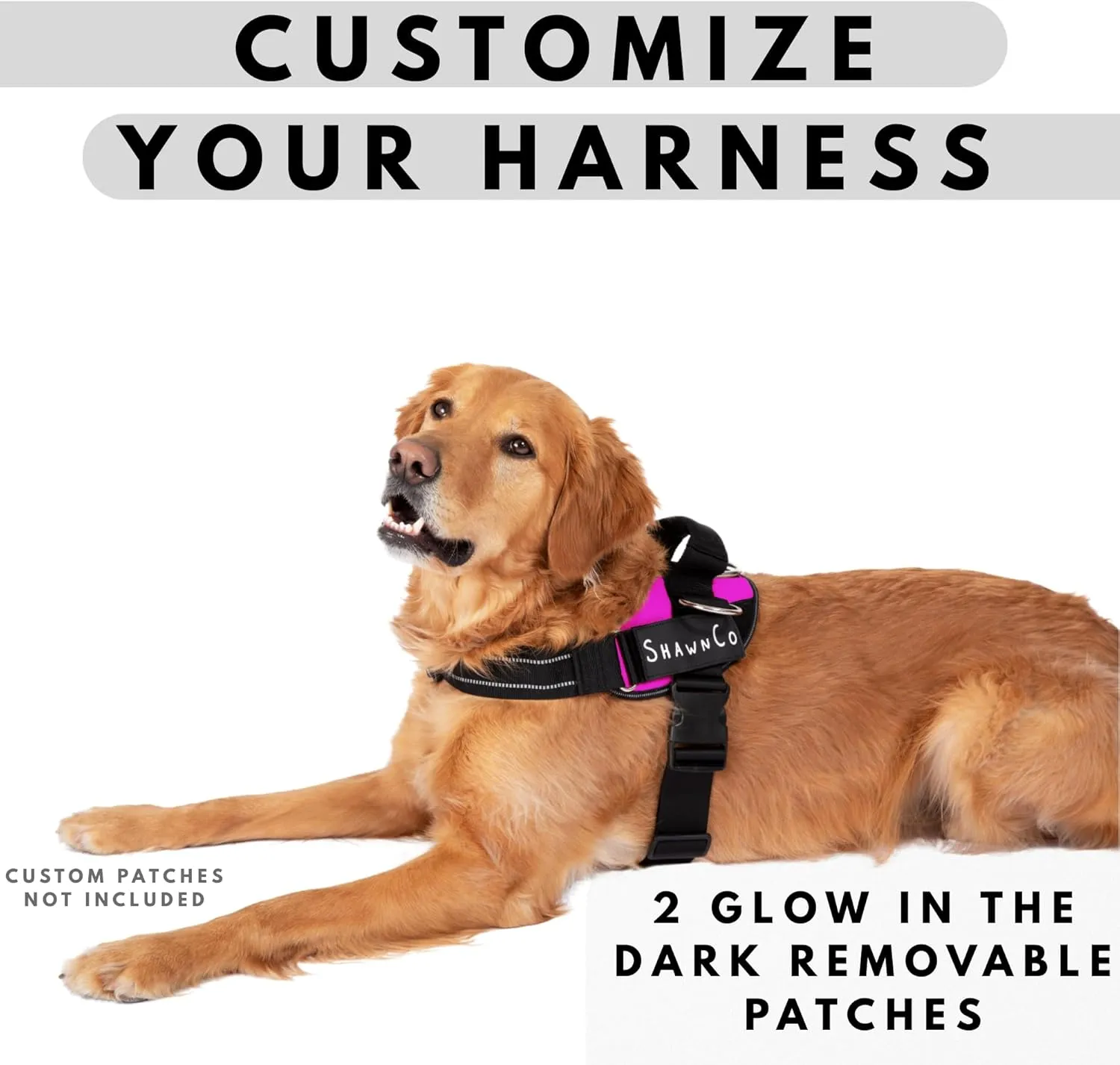ShawnCo Essential Pro Dog Harness, No-Pull Pet Vest with 3 Leash Clips and Removable, Reflective Side Patches, Adjustable and Padded Harness for Small, Medium and Large Dogs (Oceanic Blue, S)