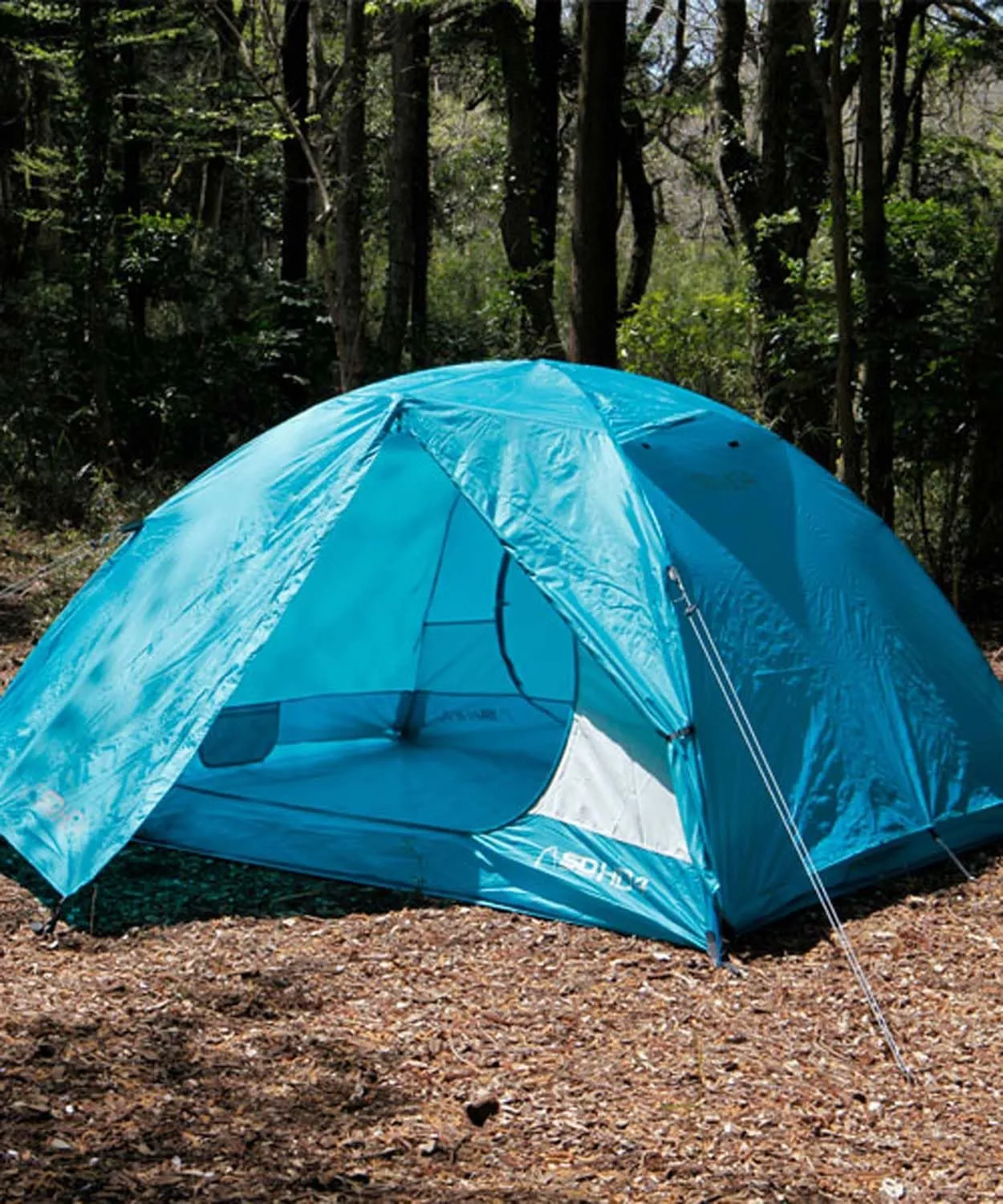 Sierra Designs 80001/80002 Outdoor Camping Dome Tent