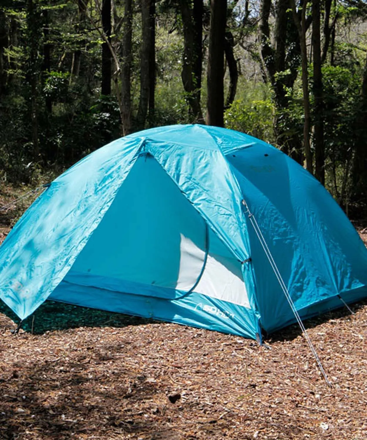 Sierra Designs 80001/80002 Outdoor Camping Dome Tent