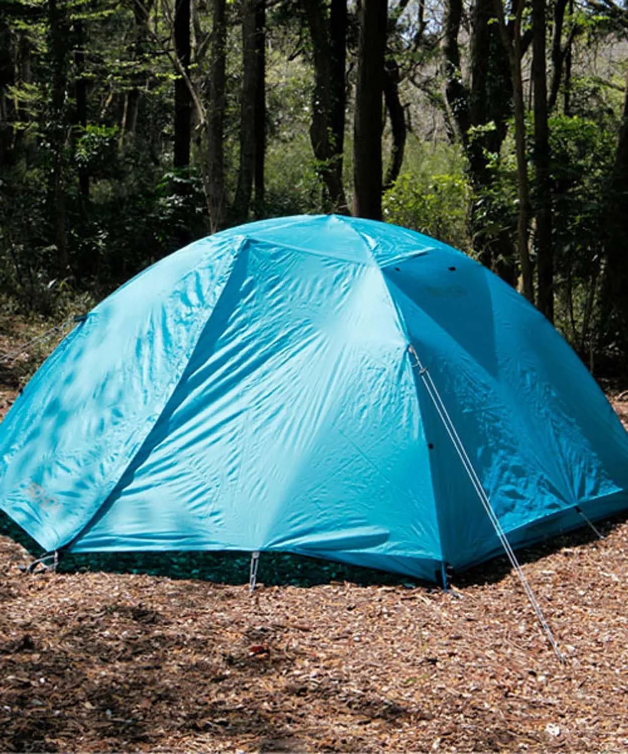 Sierra Designs 80001/80002 Outdoor Camping Dome Tent