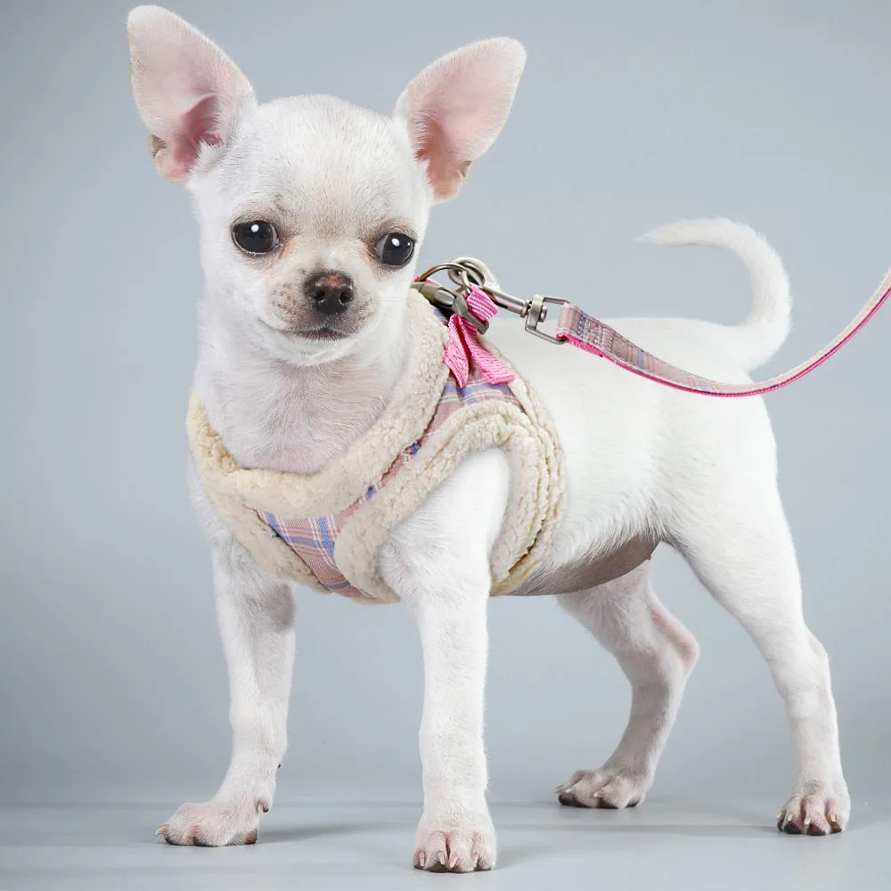 Soft Padded Cat Harness Vest | Adjustable Harness with 1.5m Leash for Small Dogs and Cats