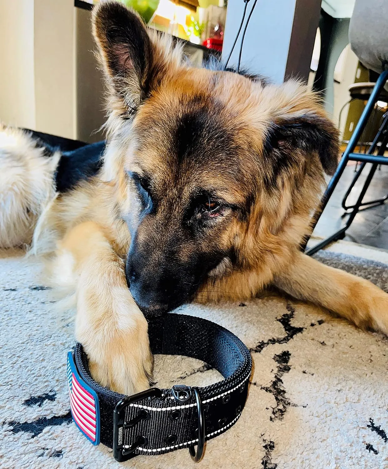 Tactical Dog Collar 2 Inch Wide Heavy Duty with Metal 2-Pin Belt Buckle for Medium, Large & XL Dogs, Thick Military-Style K9 Collar, Reflective, with Name Plate Area, USA Flag Patch, Strong & Durable