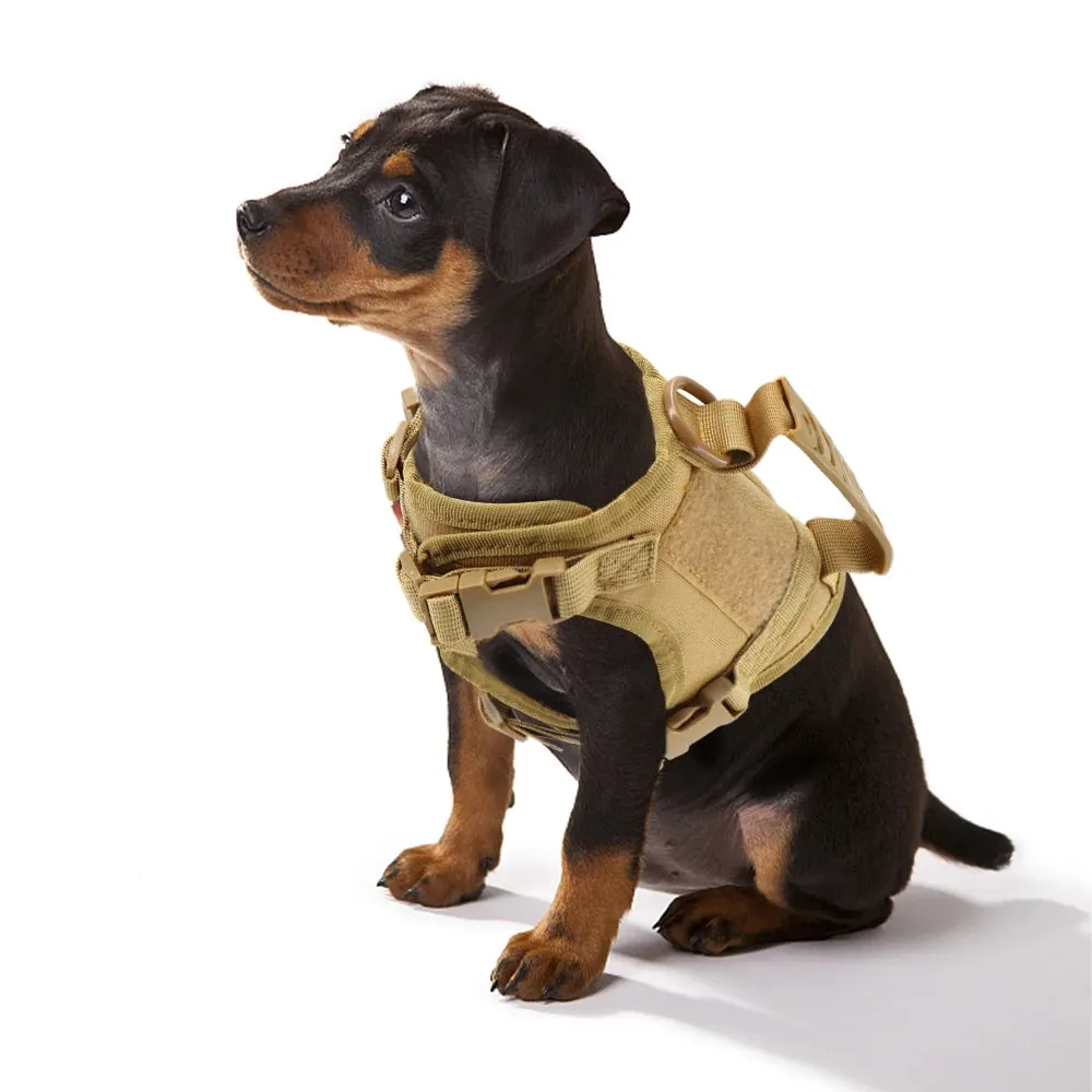 Tactical Puppy & Cat Harness, Fully Adjustable