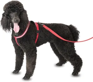 The Company of Animals Comfy Harness, XX-Large, Red (LFR8)
