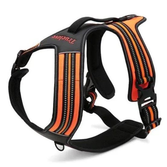 True Love Heavy Duty Sports Dog Harness - Orange, L