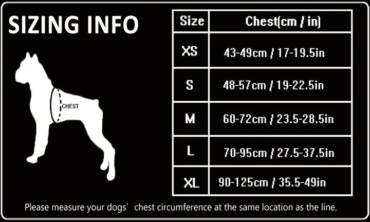 True Love Heavy Duty Sports Dog Harness - Orange, M