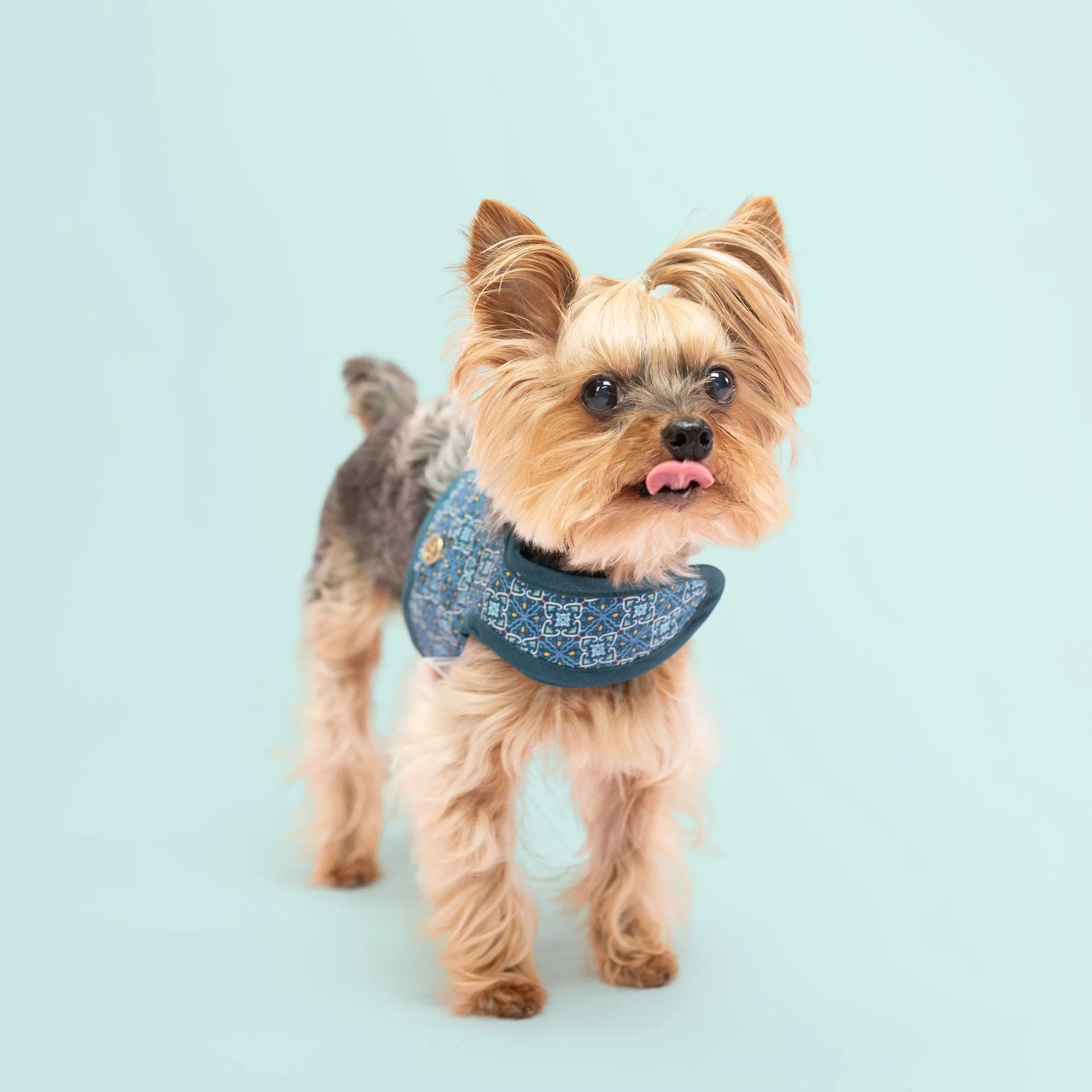 Velcro Harness - Turquoise Moroccan Print